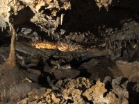 /album/fotogalerie-jeskyne-na-turolde/dom-fantazie-foto-z-frgala-jpg/